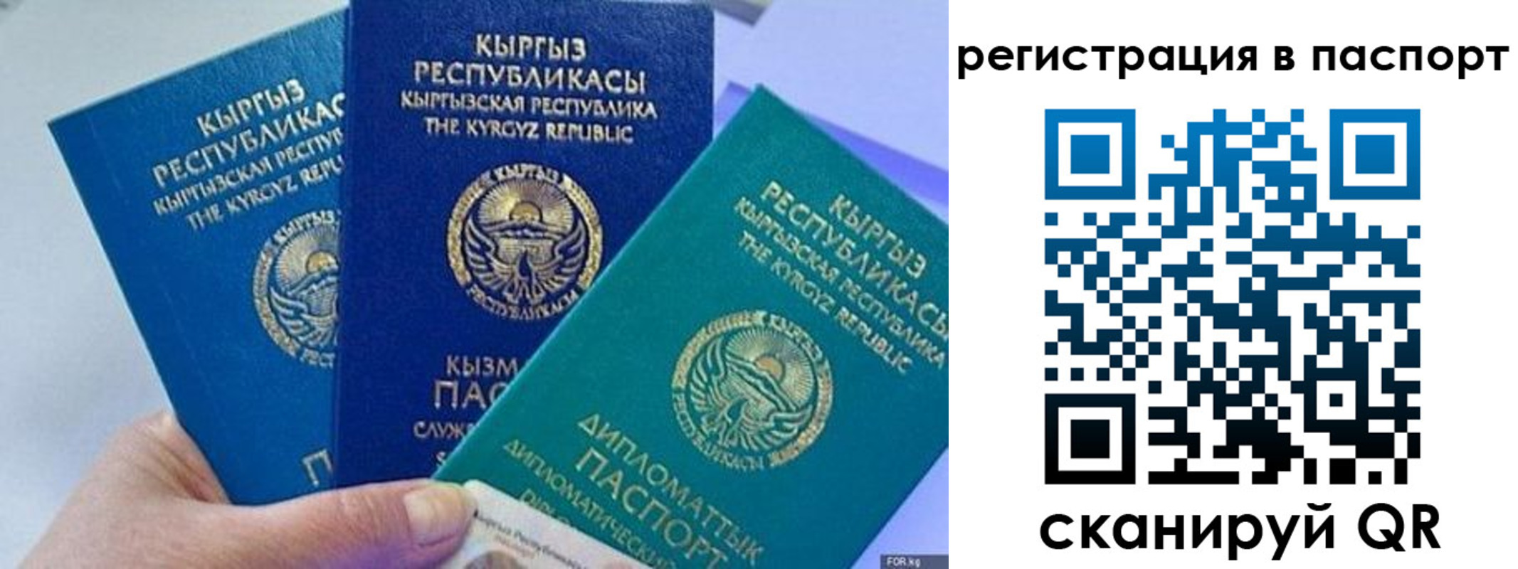 прописка 2025 в Райчихинске